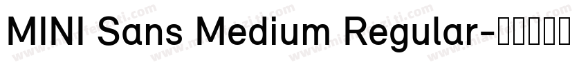 MINI Sans Medium Regular字体转换